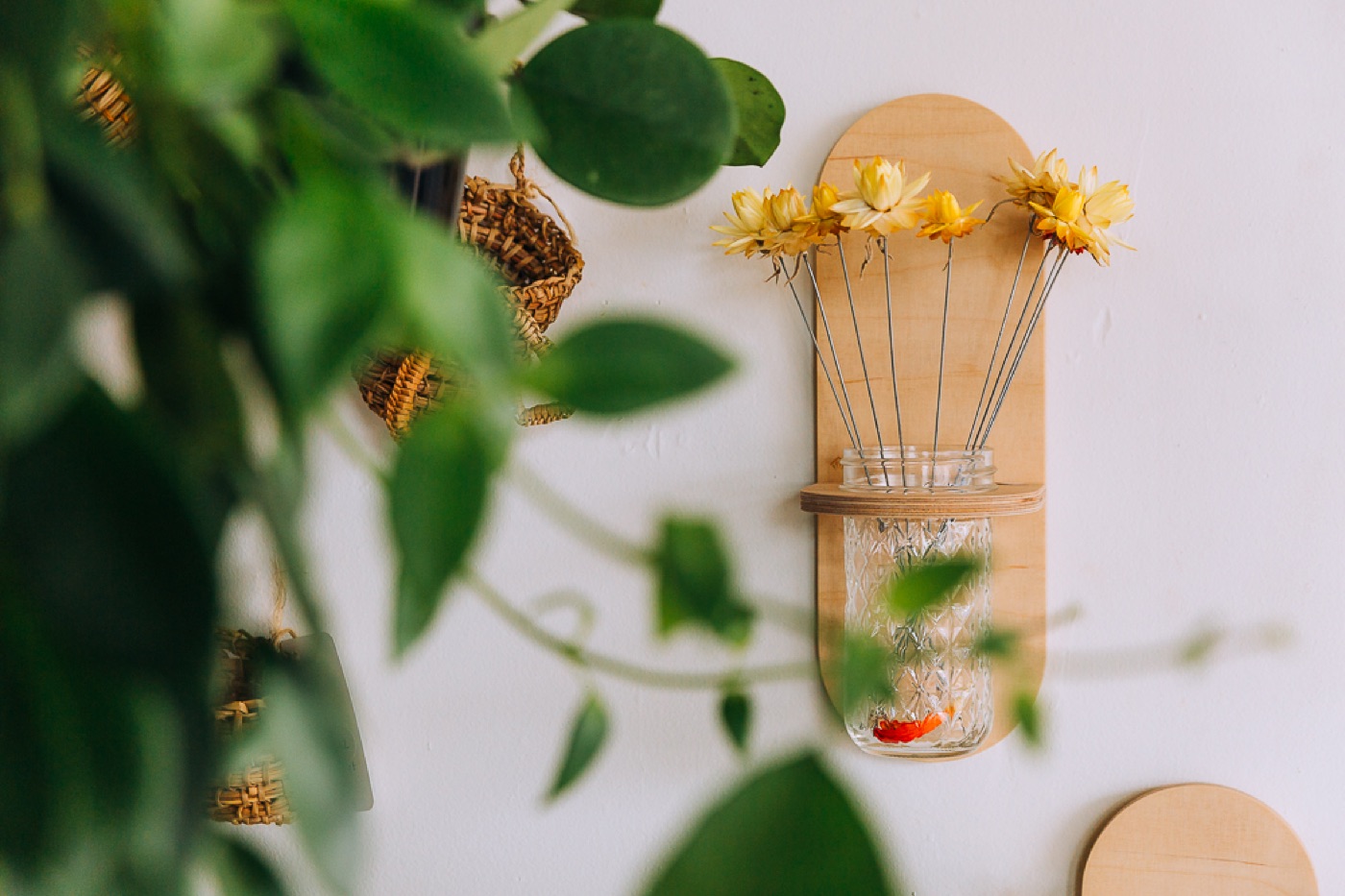 Dried flowers in a glass wall vase surrounded by greenery